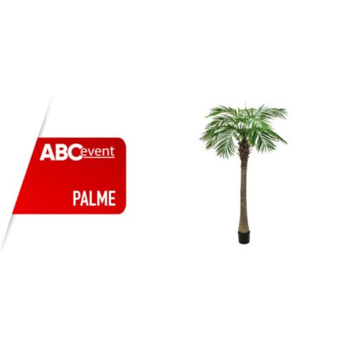 Palmetræ